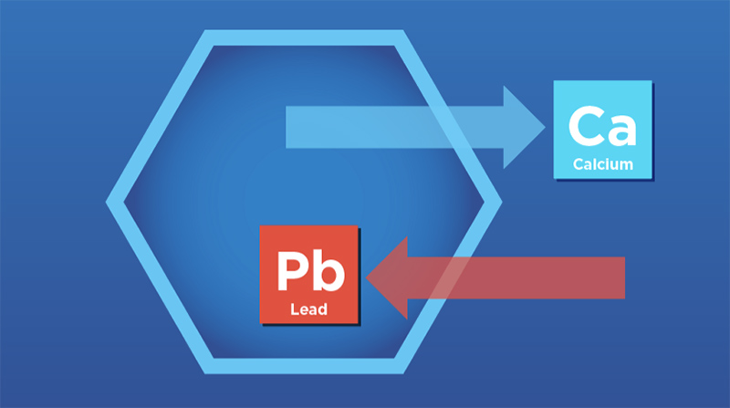 Illustration of a zeolite taking a toxin and giving a nutrient.
